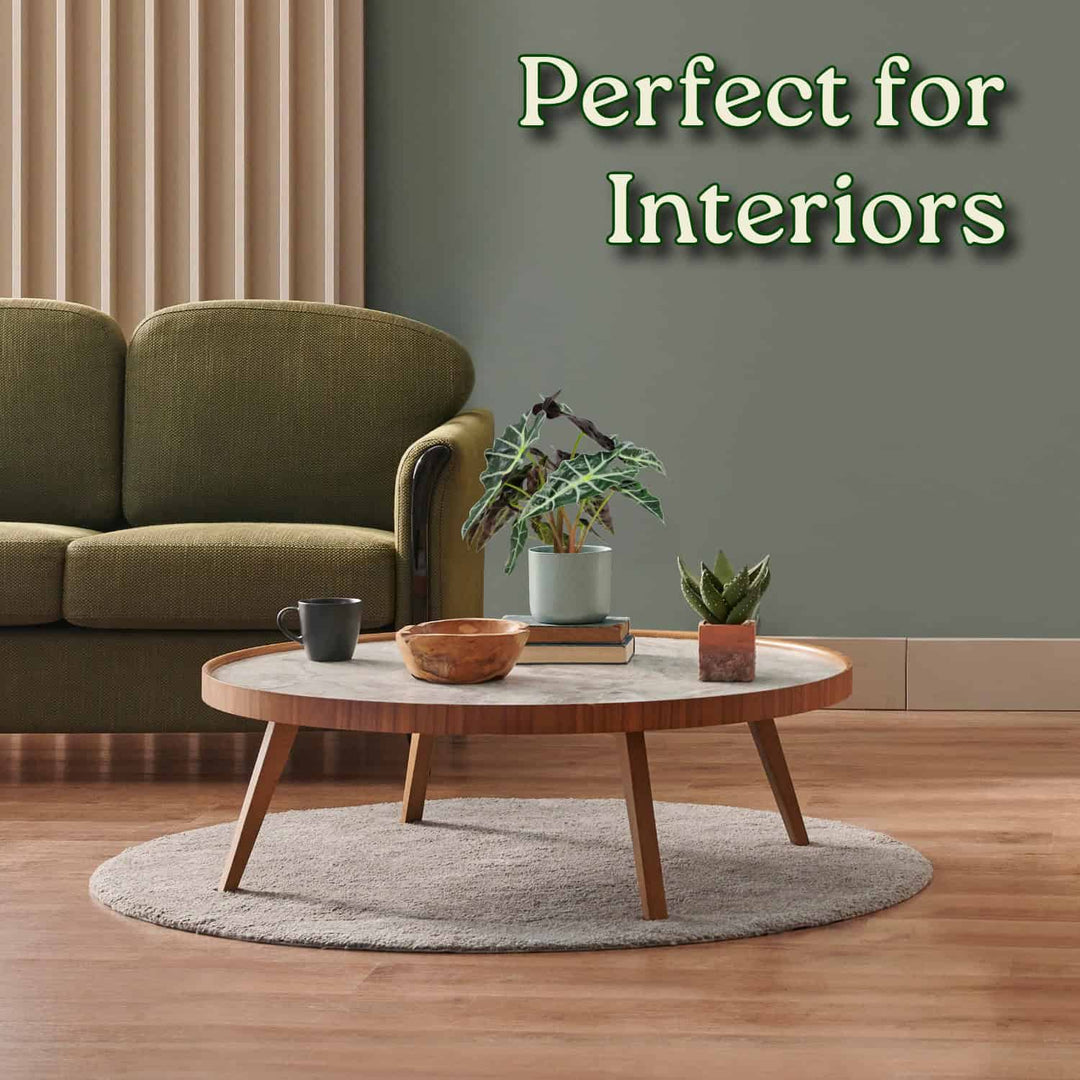 Living room with a green sofa, wooden coffee table, and decorative items. #size_1-gallon