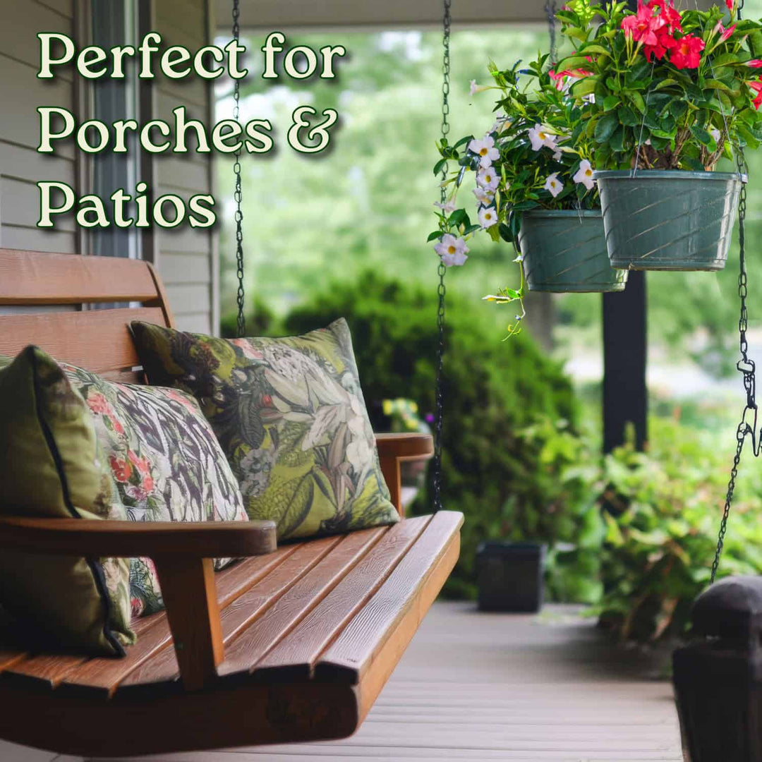 Coral Dipladenia Hanging Basket