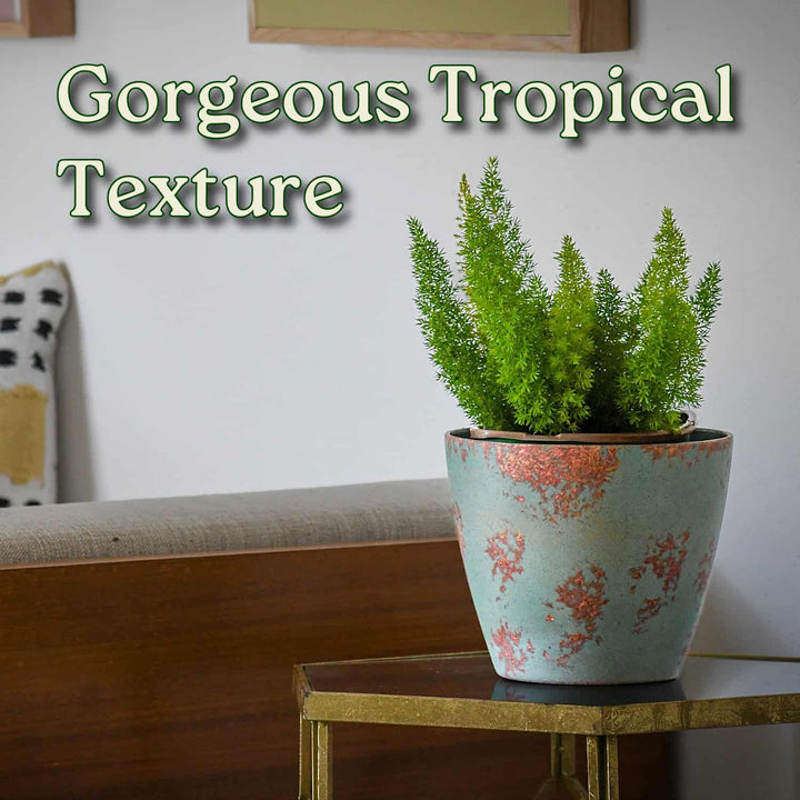 Potted plant on a table with 'Gorgeous Tropical Texture' text #size_1-gallon