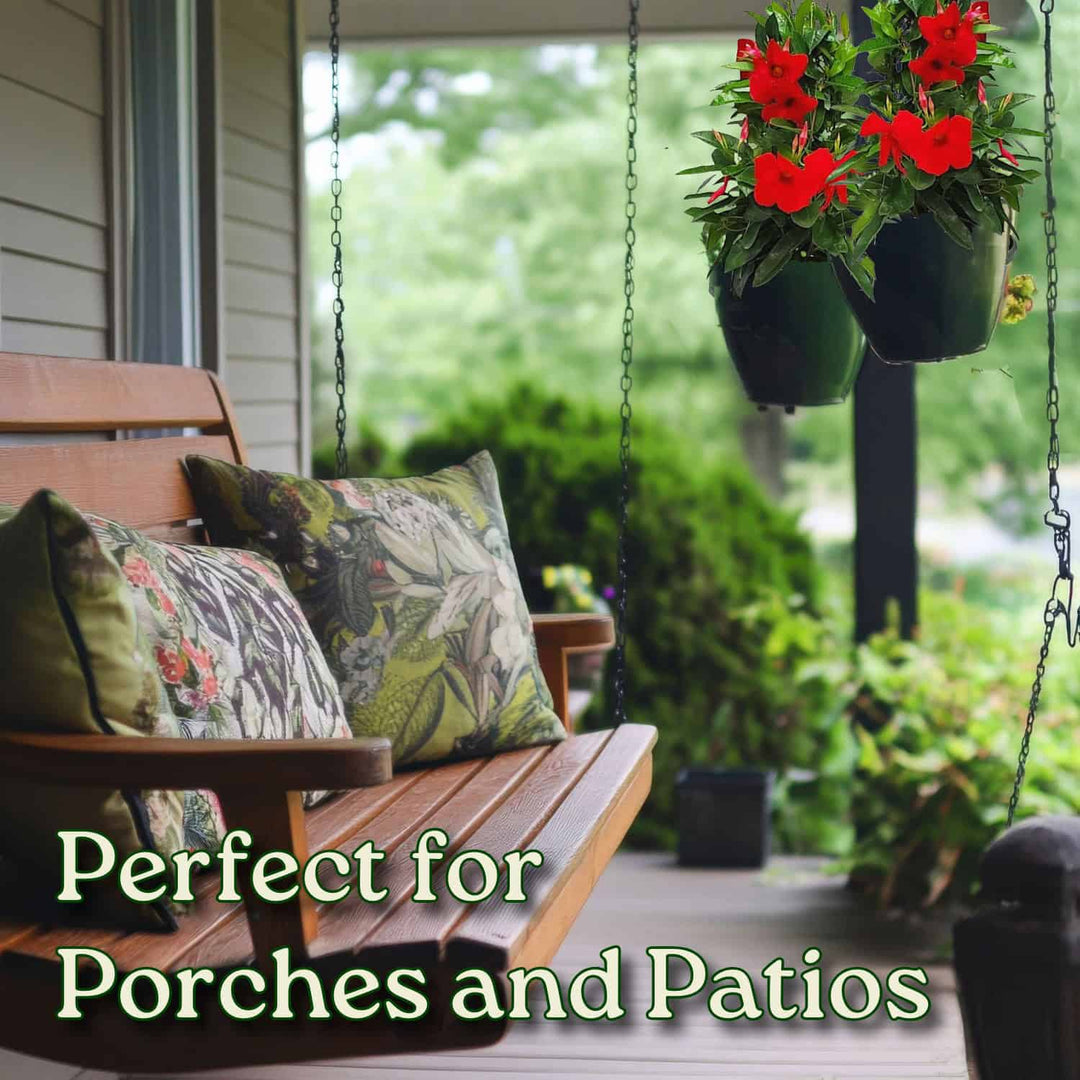 Red Mandevilla Hanging Basket