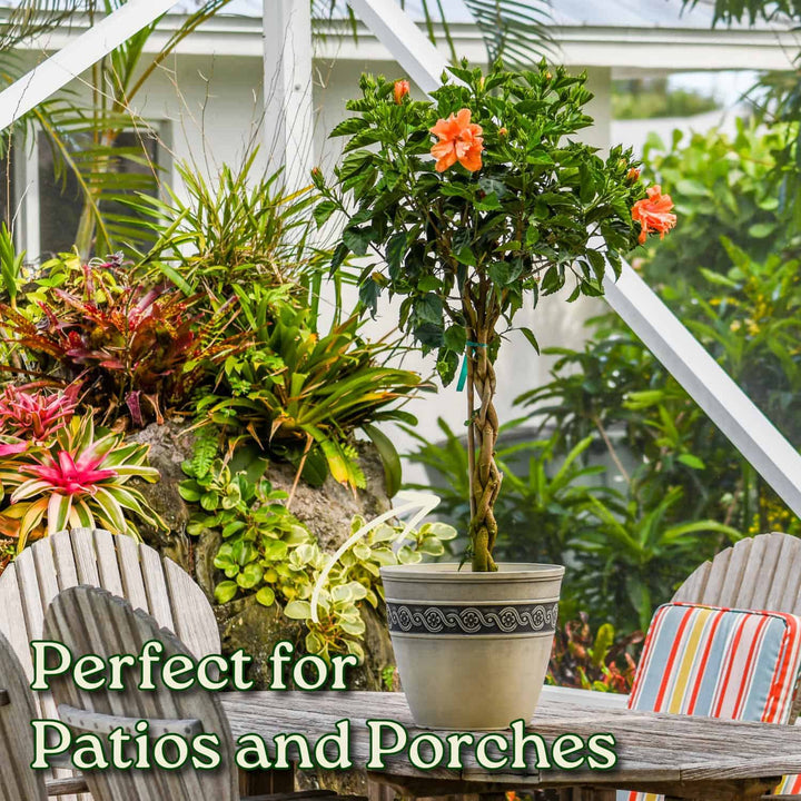 Potted plants on a patio with chairs and text 'Perfect for Patios and Porches'. #trunk_braided