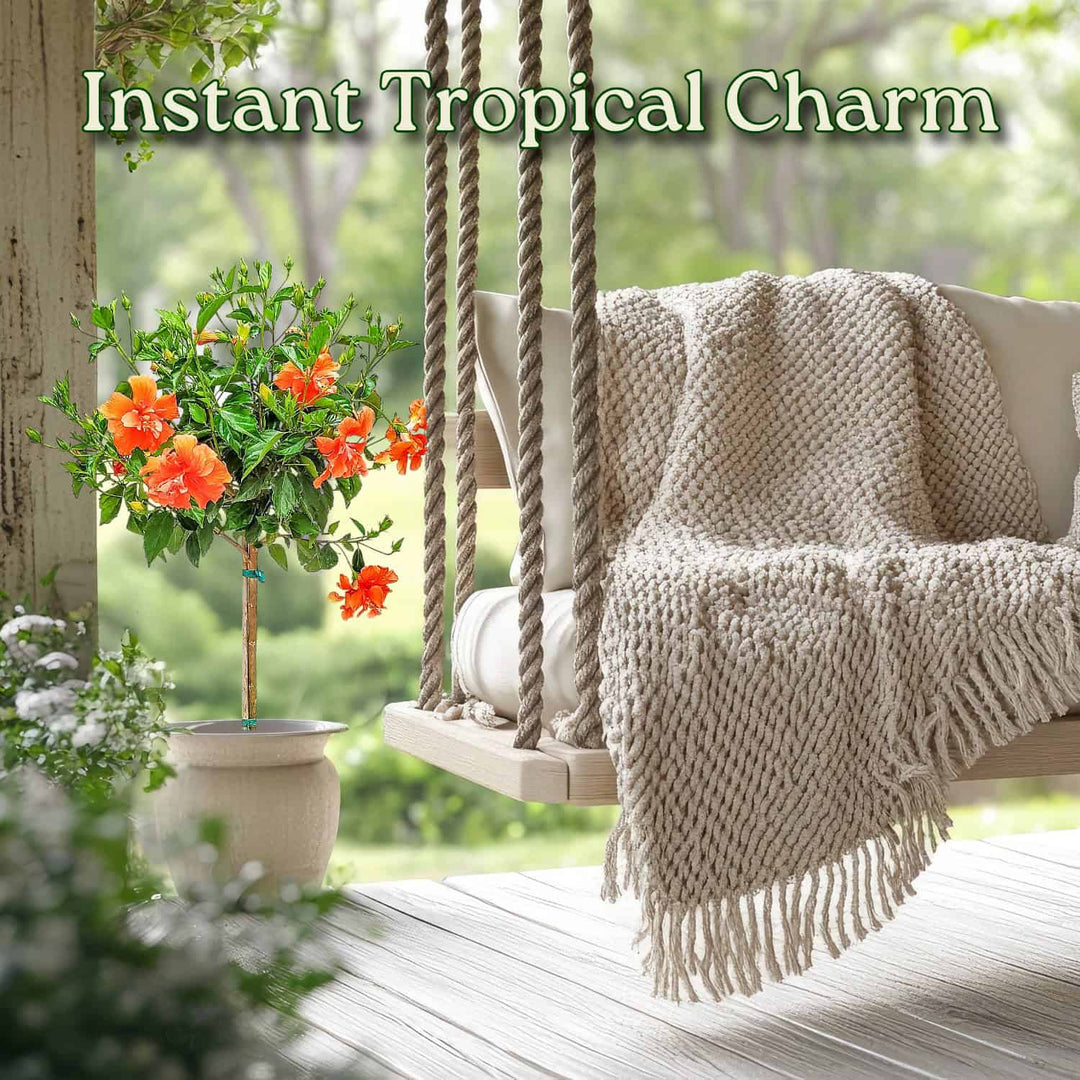 Outdoor swing with a blanket and potted plant on a wooden deck, with text 'Instant Tropical Charm'. #trunk_standard