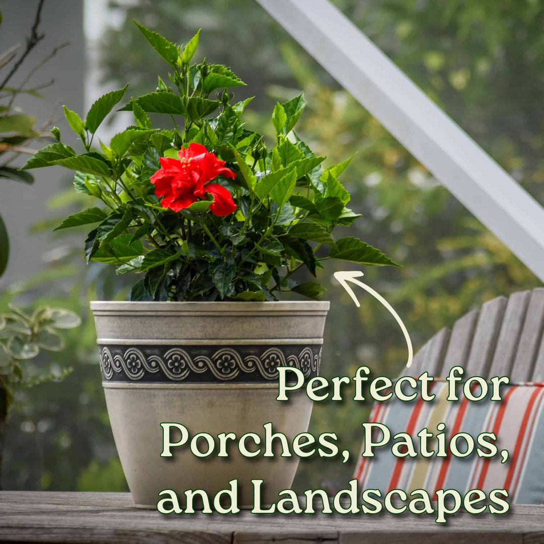 Potted plant with red flowers on a porch or patio, text indicating suitability for porches, patios, and landscapes. #size_3-gallon