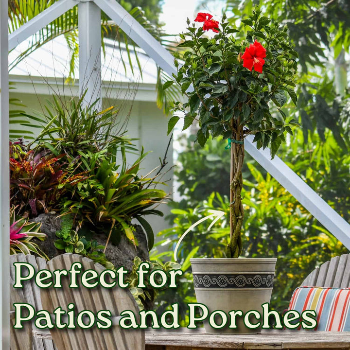 Potted plants on a patio with text 'Perfect for Patios and Porches'. #trunk_braided