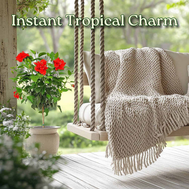 Tropical-themed outdoor swing with red flowers and a blanket on a wooden deck. #trunk_standard
