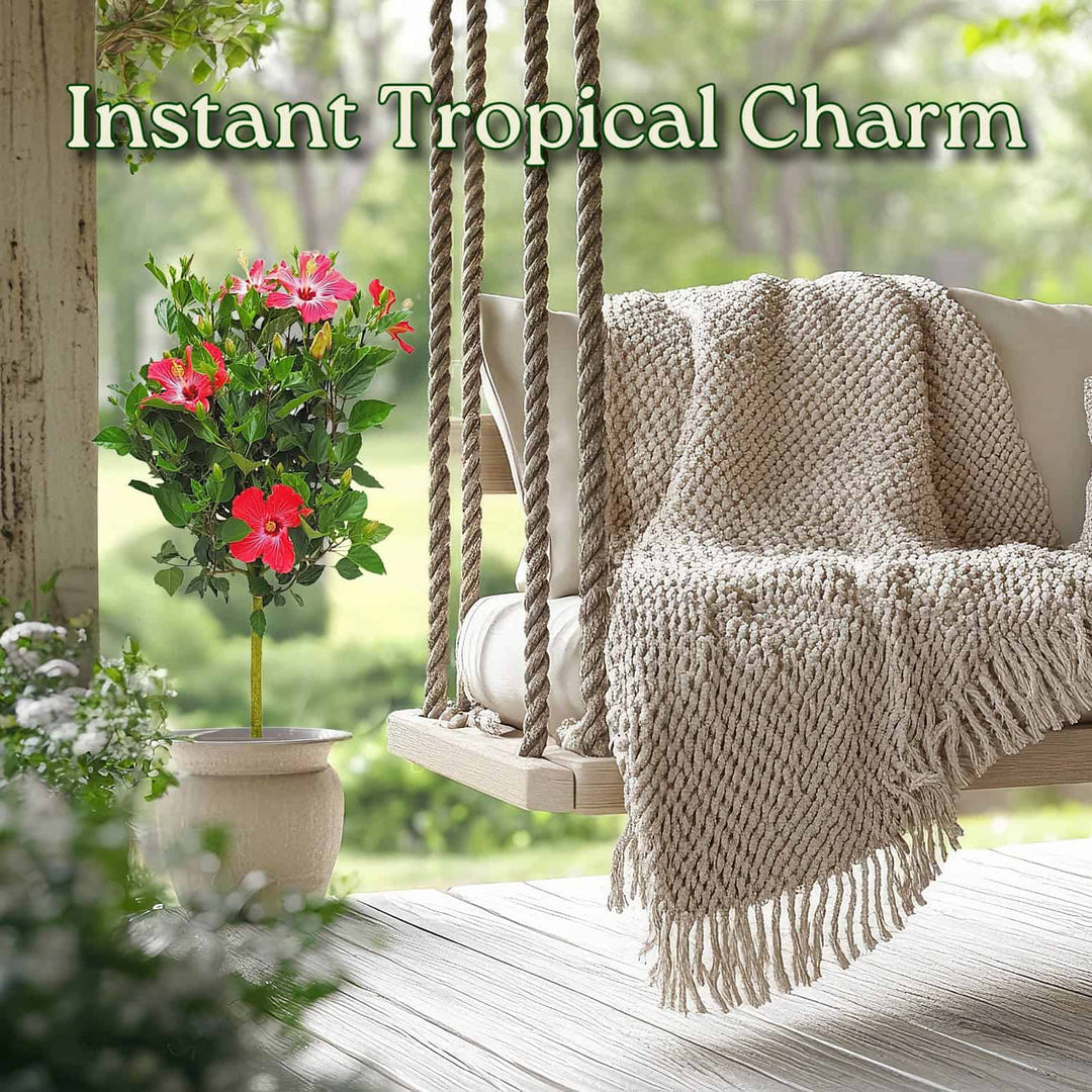 Tropical charm with a swing, blanket, and potted plant on a wooden deck.  #trunk_standard