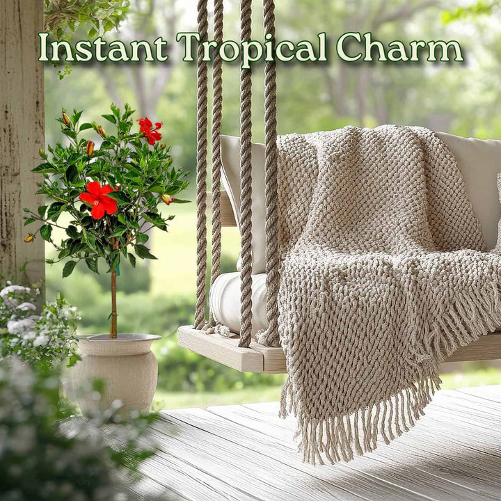 Outdoor swing with a blanket and potted plant on a wooden deck, with text 'Instant Tropical Charm'. #trunk_standard