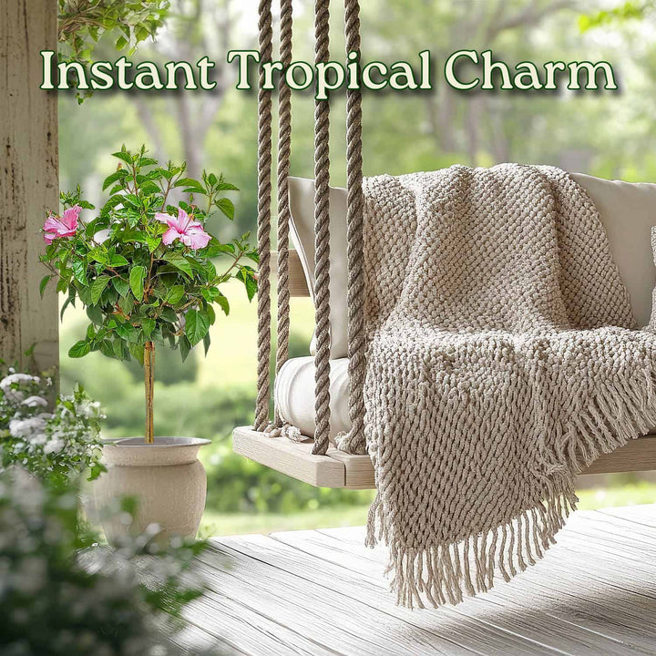 Tropical-themed outdoor swing with a blanket and plant on a wooden deck. #trunk_standard