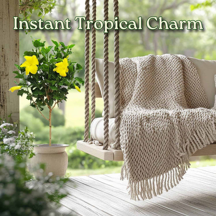 Tropical-themed outdoor swing with a blanket and plant on a wooden deck. #trunk_standard