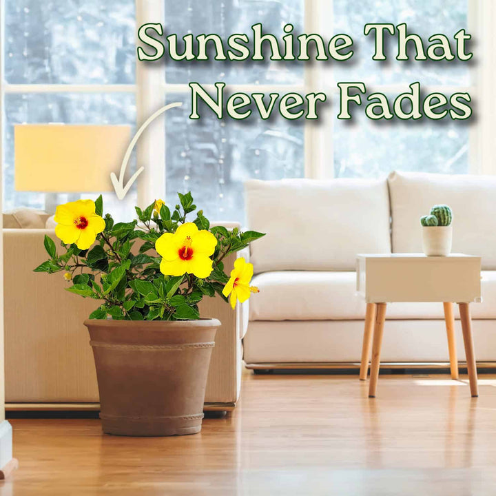 Living room with a potted plant and yellow flowers, text 'Sunshine That Never Fades' above. #size_3-gallon