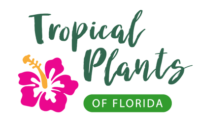 Tropical Plants of Florida