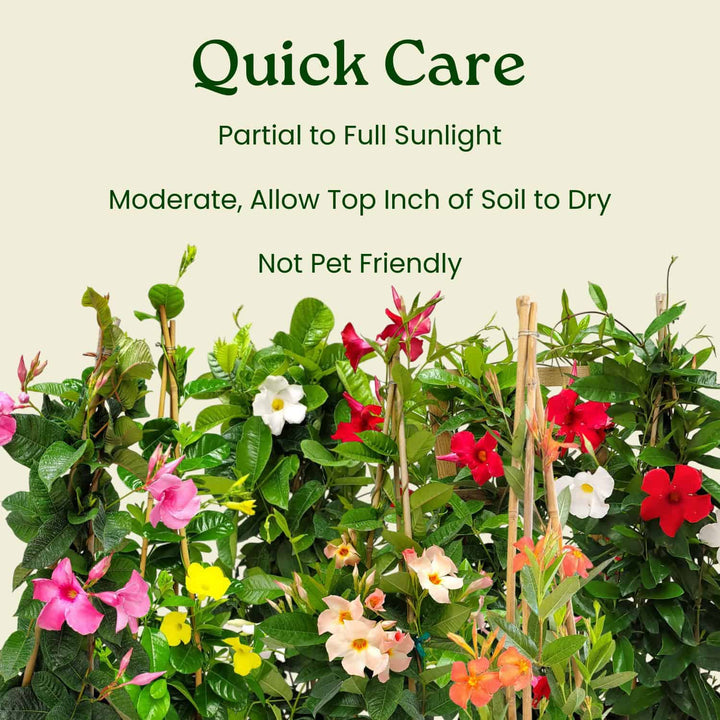 Gardening guide with plants and text on a light background  #size_1-gallon