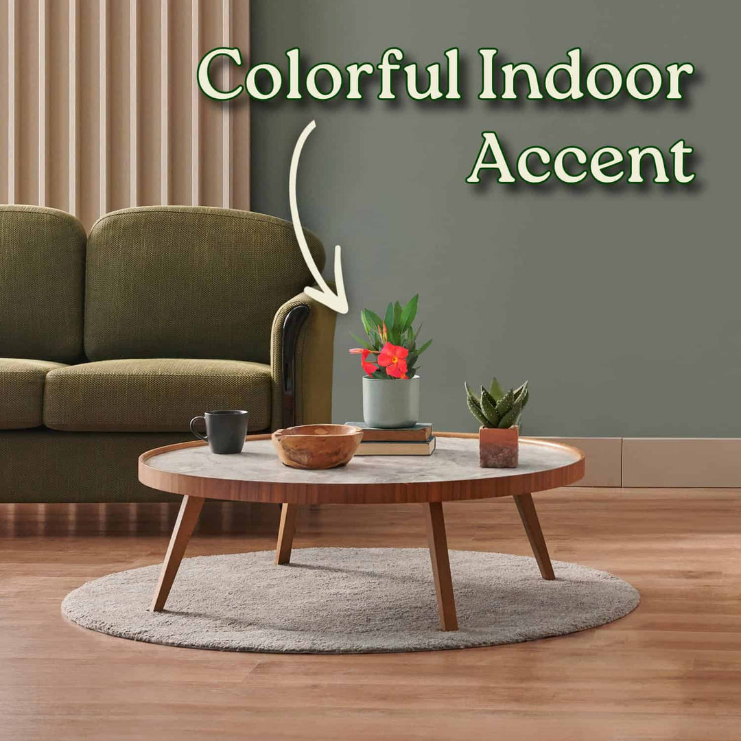 Living room with a round wooden coffee table, green sofa, and decorative plants. #size_1-gallon