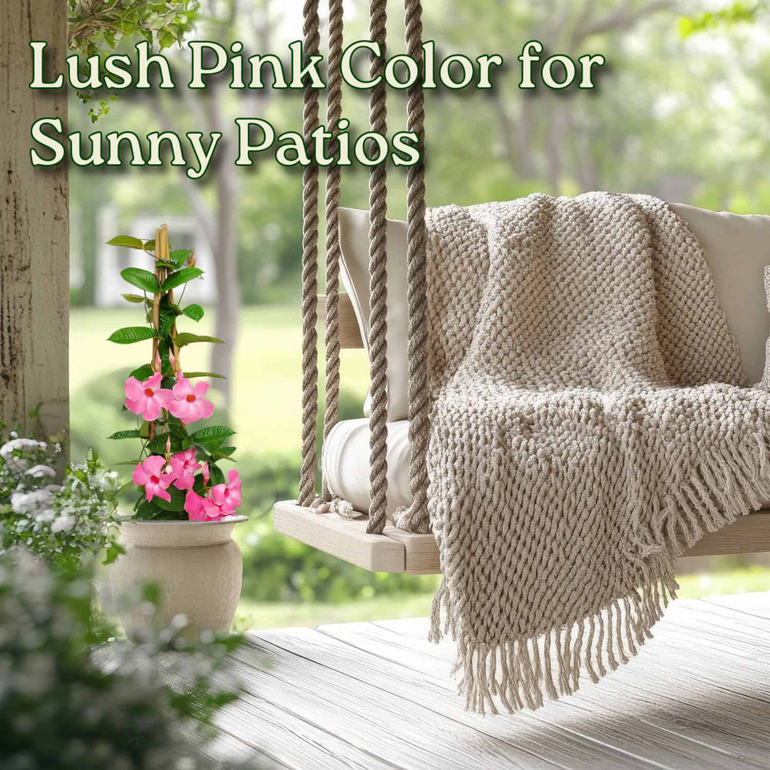 Sunny patio with a swing, blanket, and potted plant on a wooden deck. #size_3-gallon