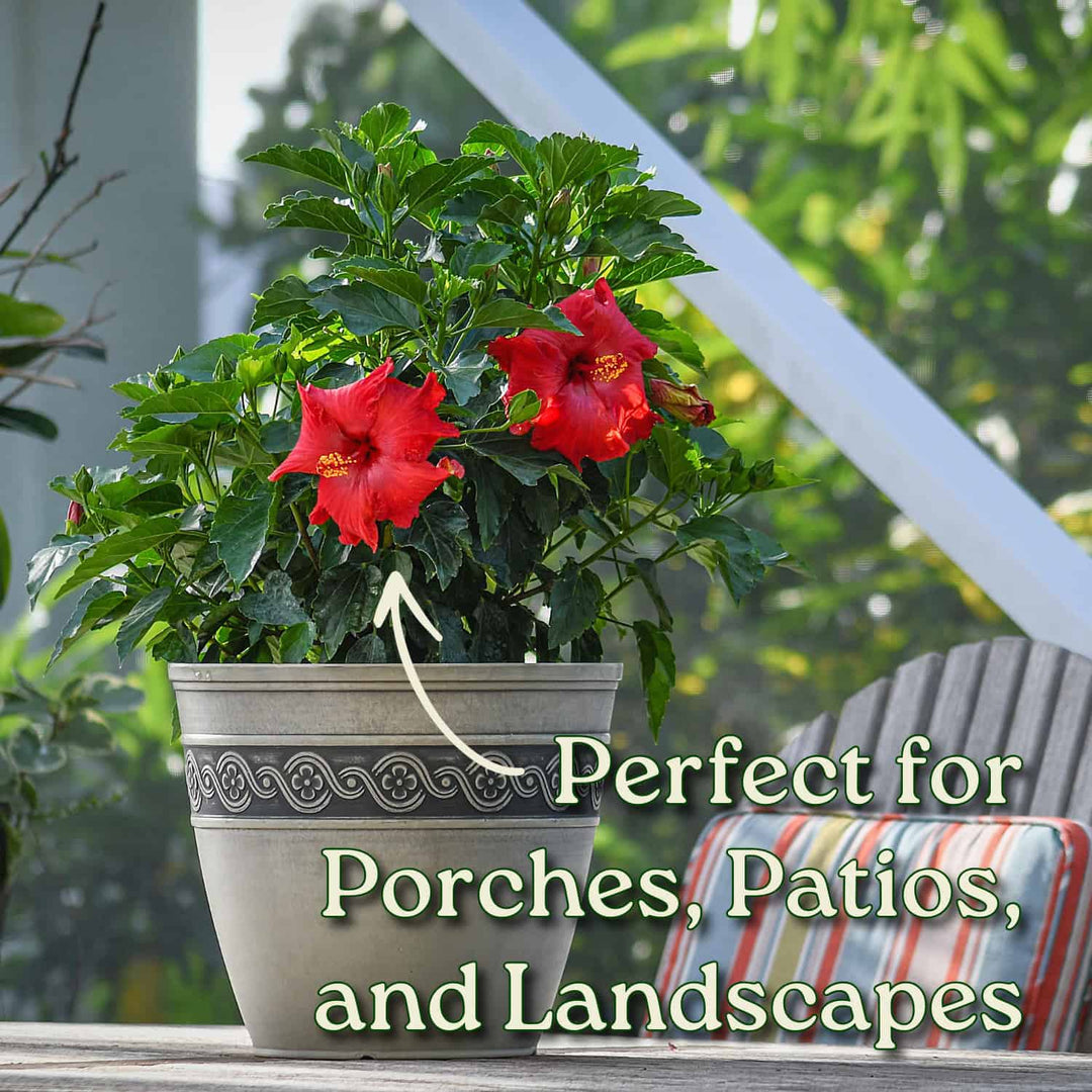 Potted plant with red flowers on a porch or patio, text indicating suitability for porches, patios, and landscapes. #size_3-gallon