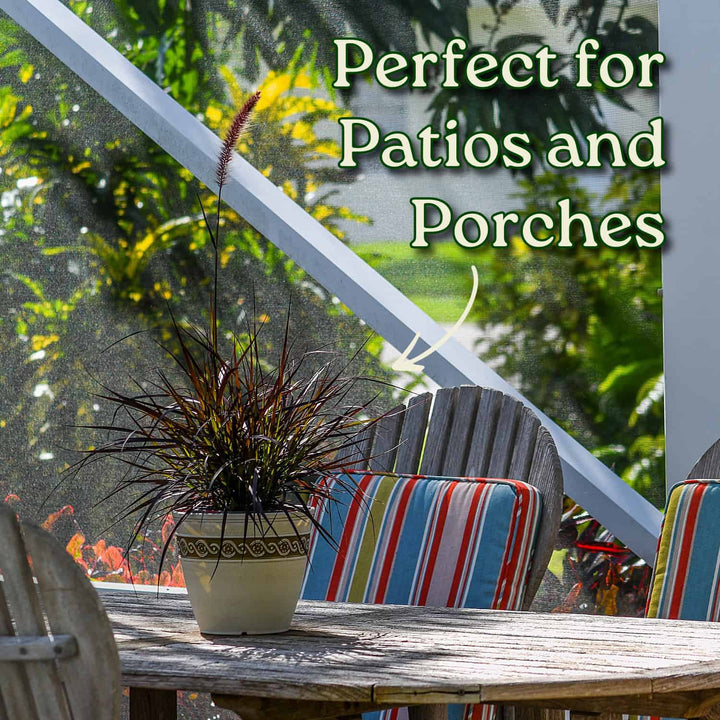 Potted plant on a patio table with striped chairs and text 'Perfect for Patios and Porches'.  #size_1-gallon
