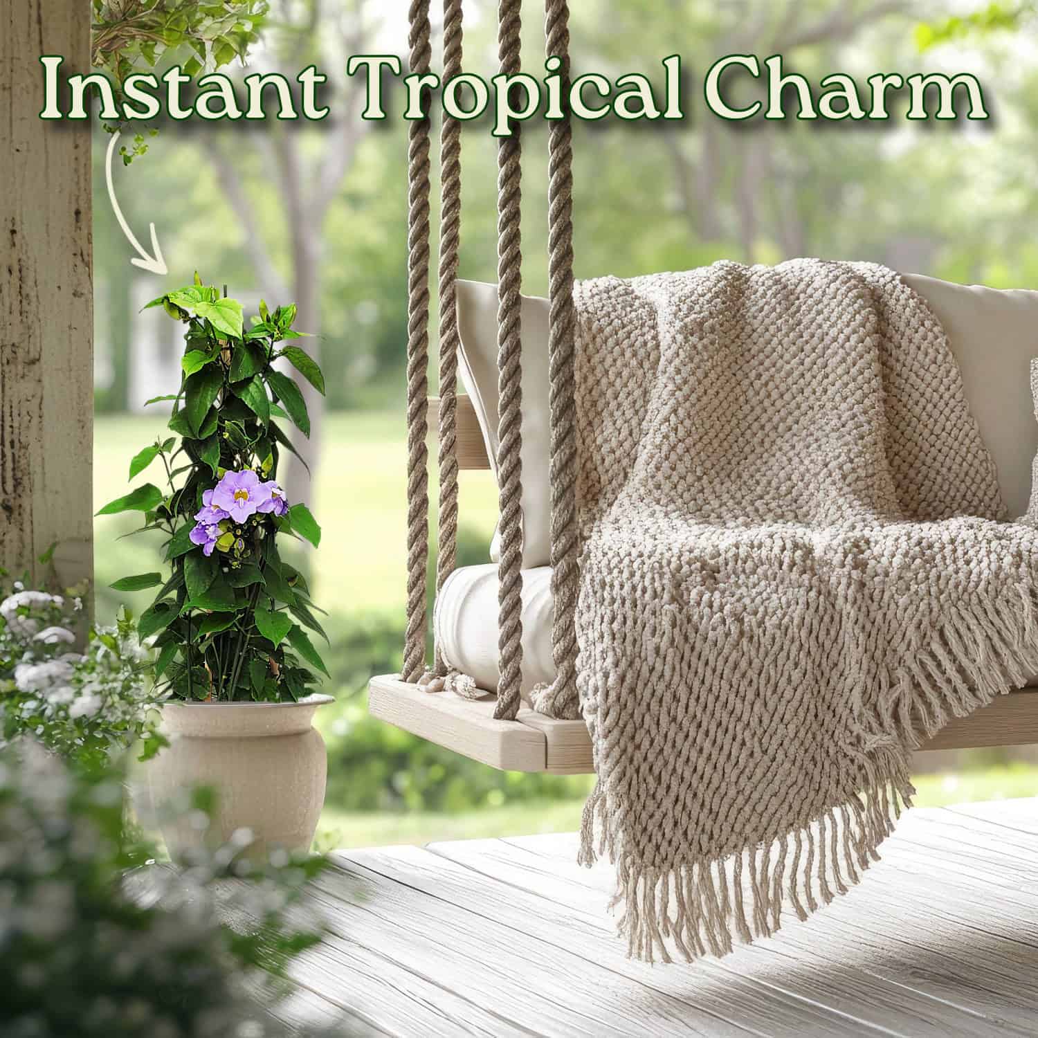 Tropical Plants of Florida Sky Vine - Thumbnail 2