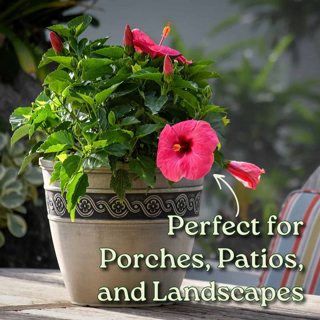 Potted plant with pink flowers on a wooden surface, text 'Perfect for Porches, Patios, and Landscapes' below. #size_3-gallon
