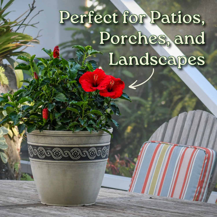 Potted plant with red flowers on a patio table, text 'Perfect for Patios, Porches, and Landscapes' above. #size_3-gallon