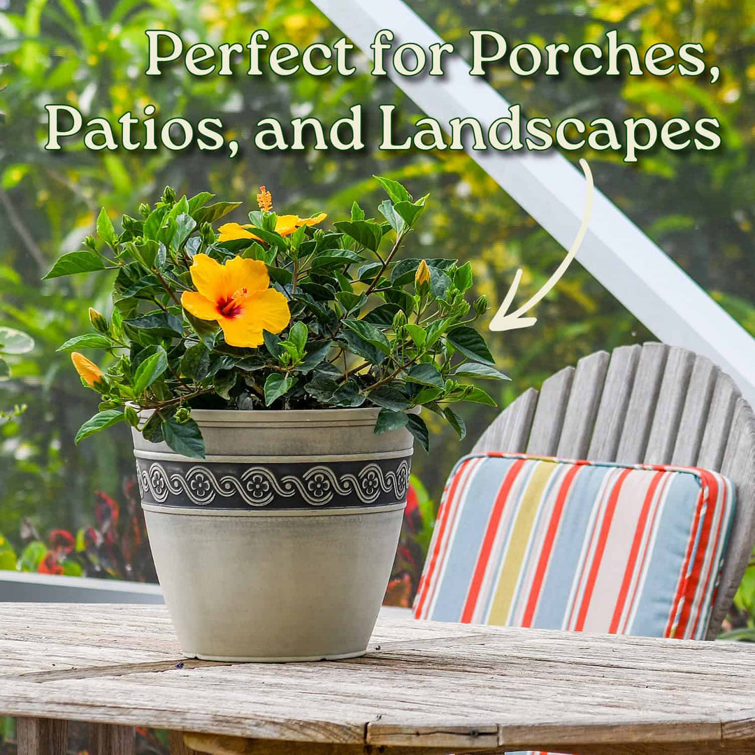 Potted plant with yellow flowers on a wooden table outdoors, with text 'Perfect for Porches, Patios, and Landscapes'. #size_3-gallon