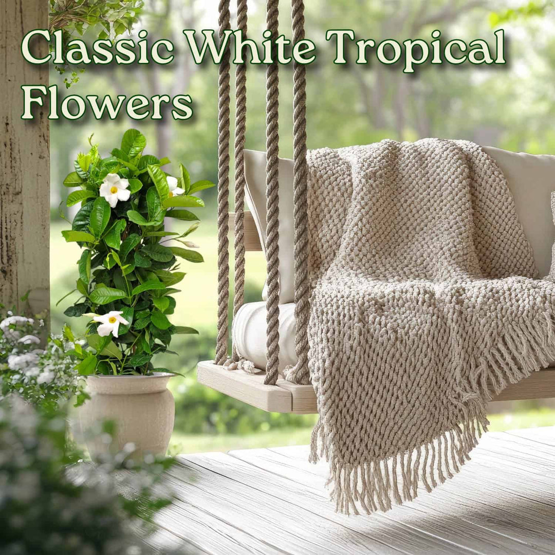 Tropical flowers with a swing and blanket on a wooden deck #size_3-gallon