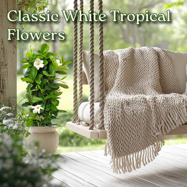 Tropical flowers with a swing and blanket on a wooden deck #size_3-gallon