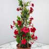 dipladenia red trellis