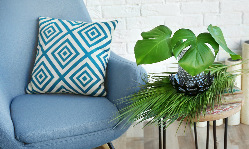 5 ways to decorate with monstera leaves decor