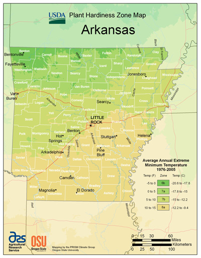 Tropical Plants for Arkansas Residents