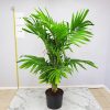 Christmas Palm Tree