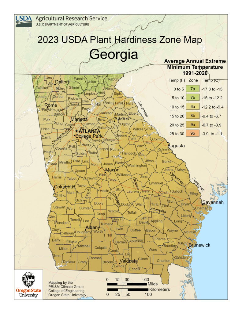 atlanta planting zones