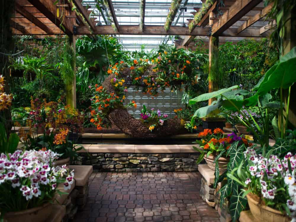 best plant stores in atlanta