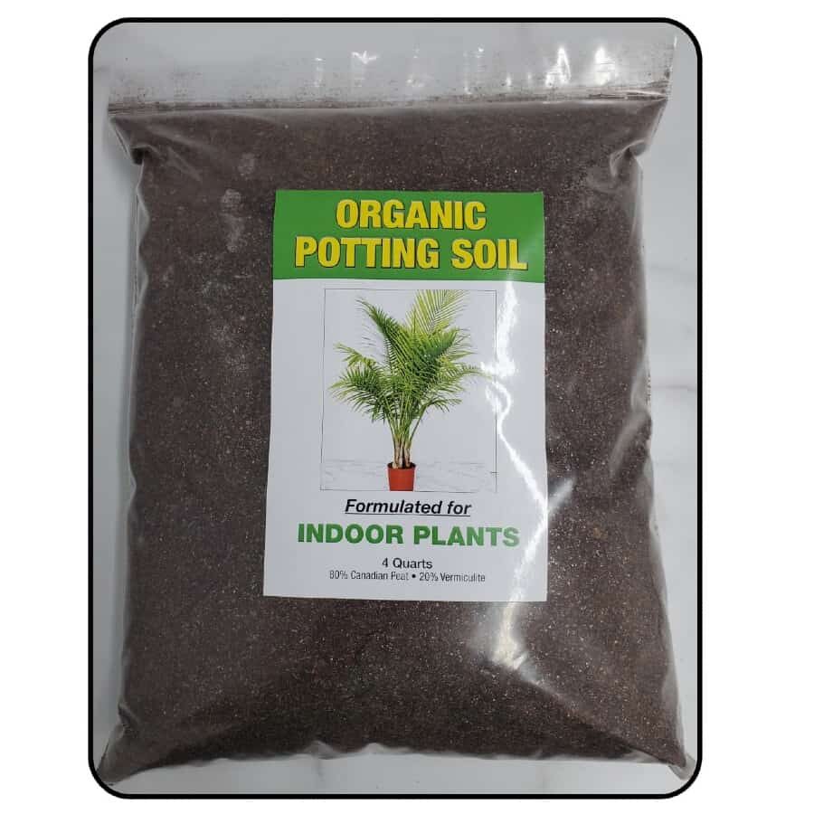 Indoor Potting Soil