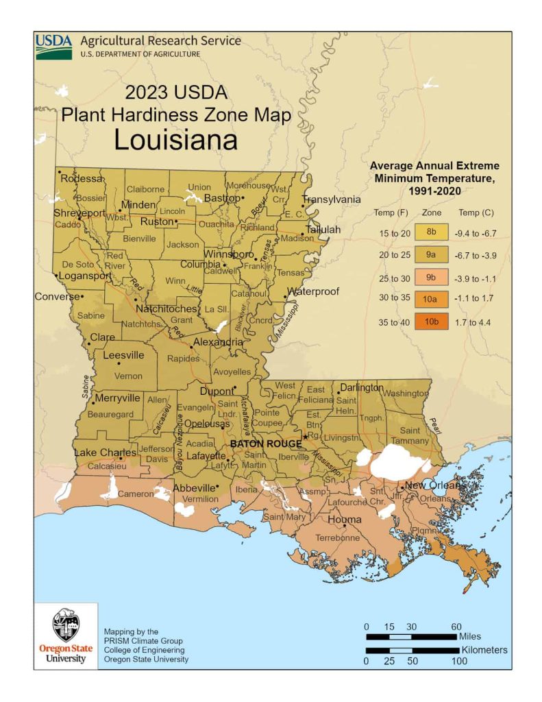 New Orleans Plant Zone