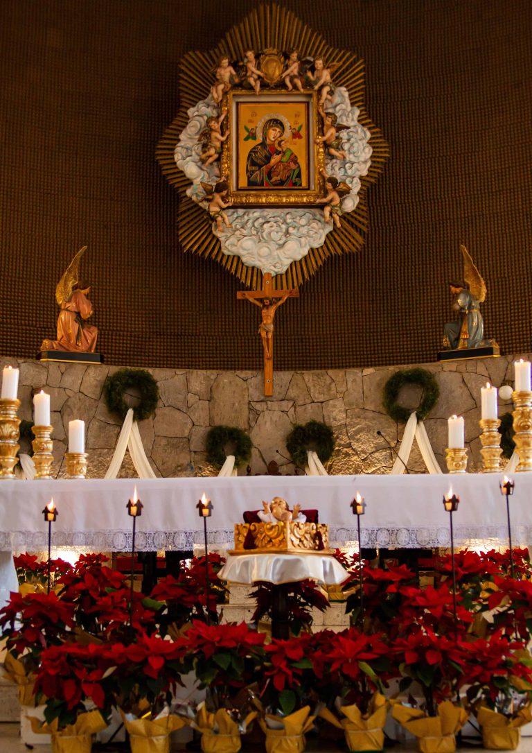 Poinsettia Poinsettias Church Religion Holiday christmas Holidays Culture tradition Poinsettia decor