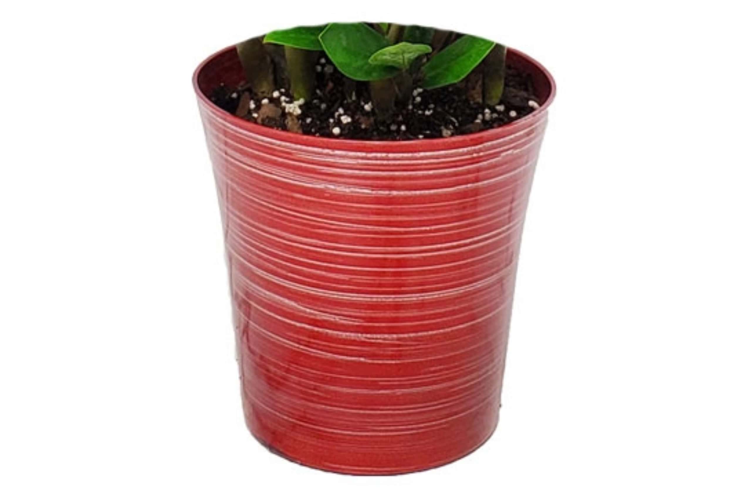 bella metallic red pot