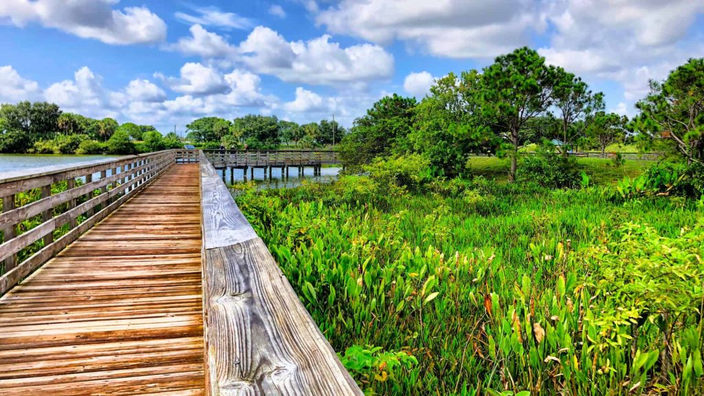 Florida Native Plants