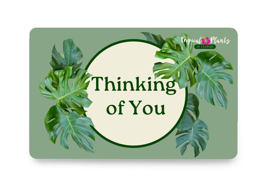 thinking of you