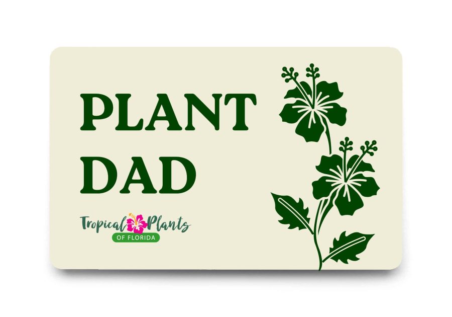 plant dad Cream