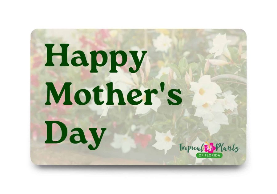 happy mothers day gift card