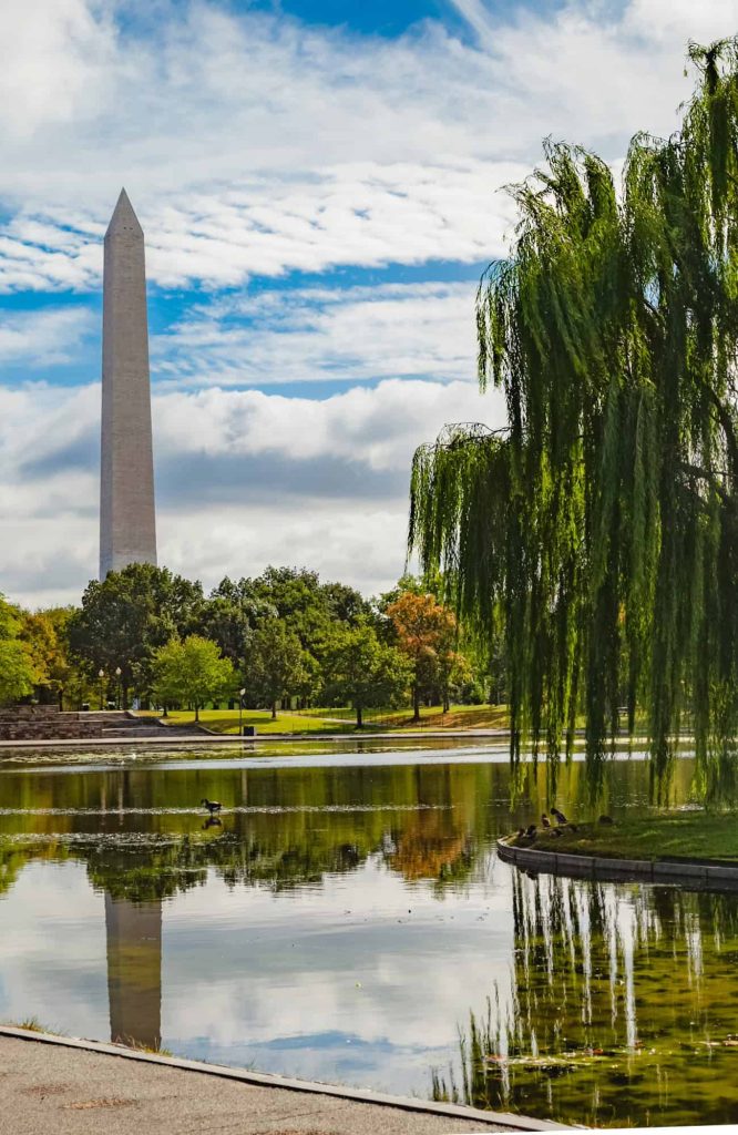 what planting zone is washington dc