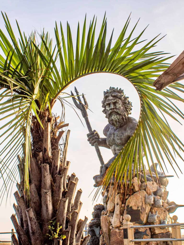 what plant zone is virginia beach