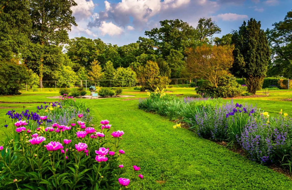 baltimore plant nursery