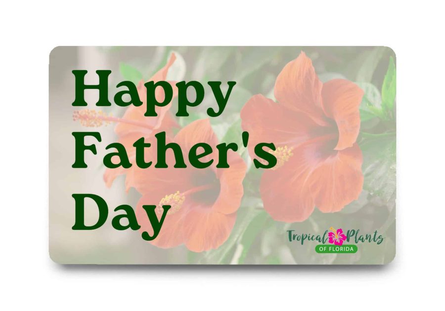 Father's Day Gift Card