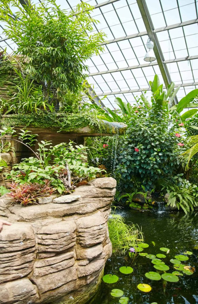 best plant nursery indianapolis