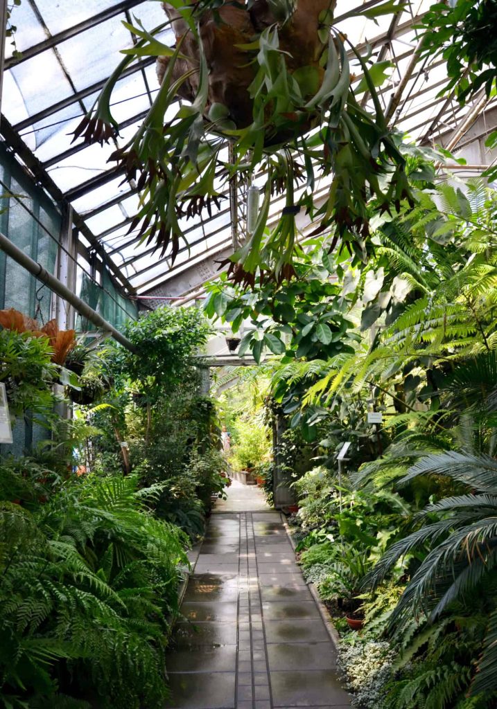 what planting zone is chicago