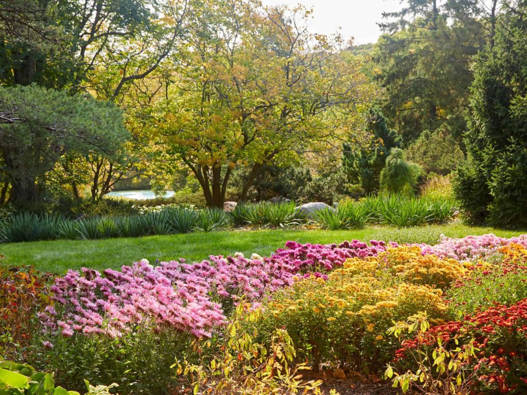 plant nursery minneapolis