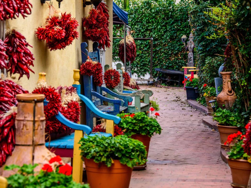 plant nursery albuquerque