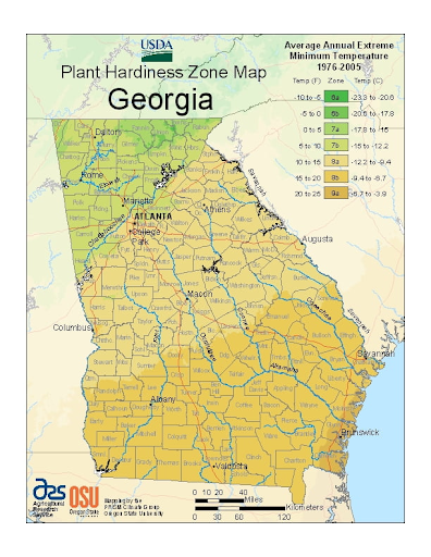geogia map